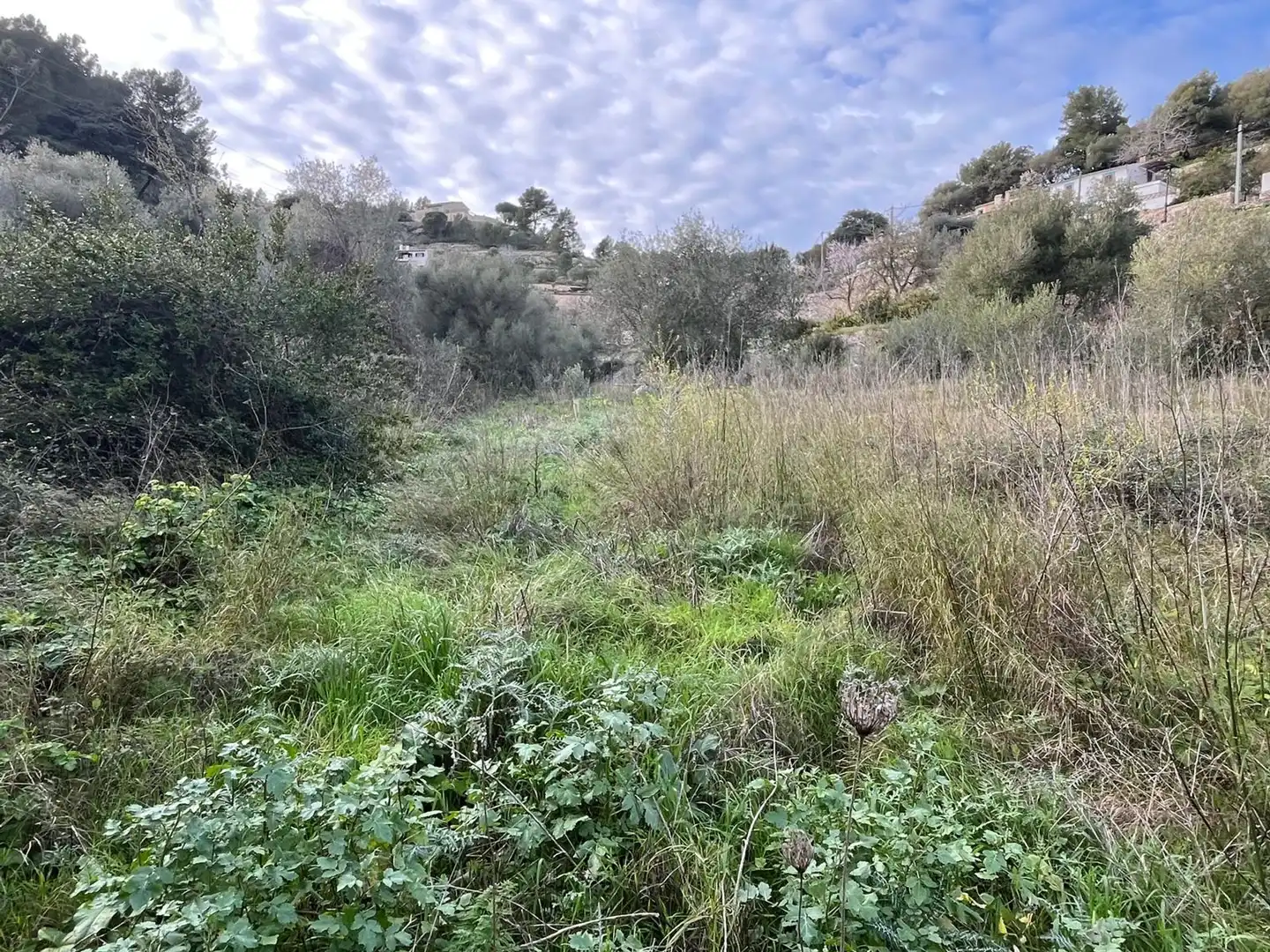 Terreny residencial en venda a Puigpunyent, imagen 6
