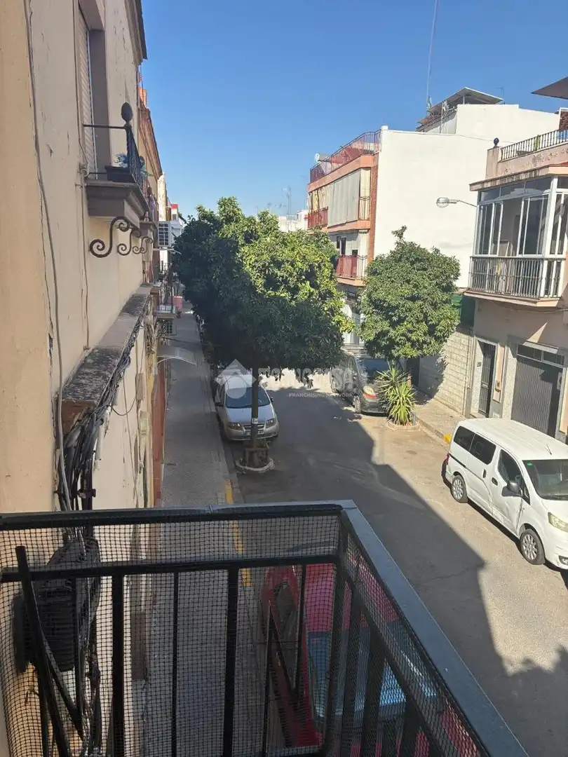 Pis amb terrassa de lloguer a Cerro - Amate, imagen 10