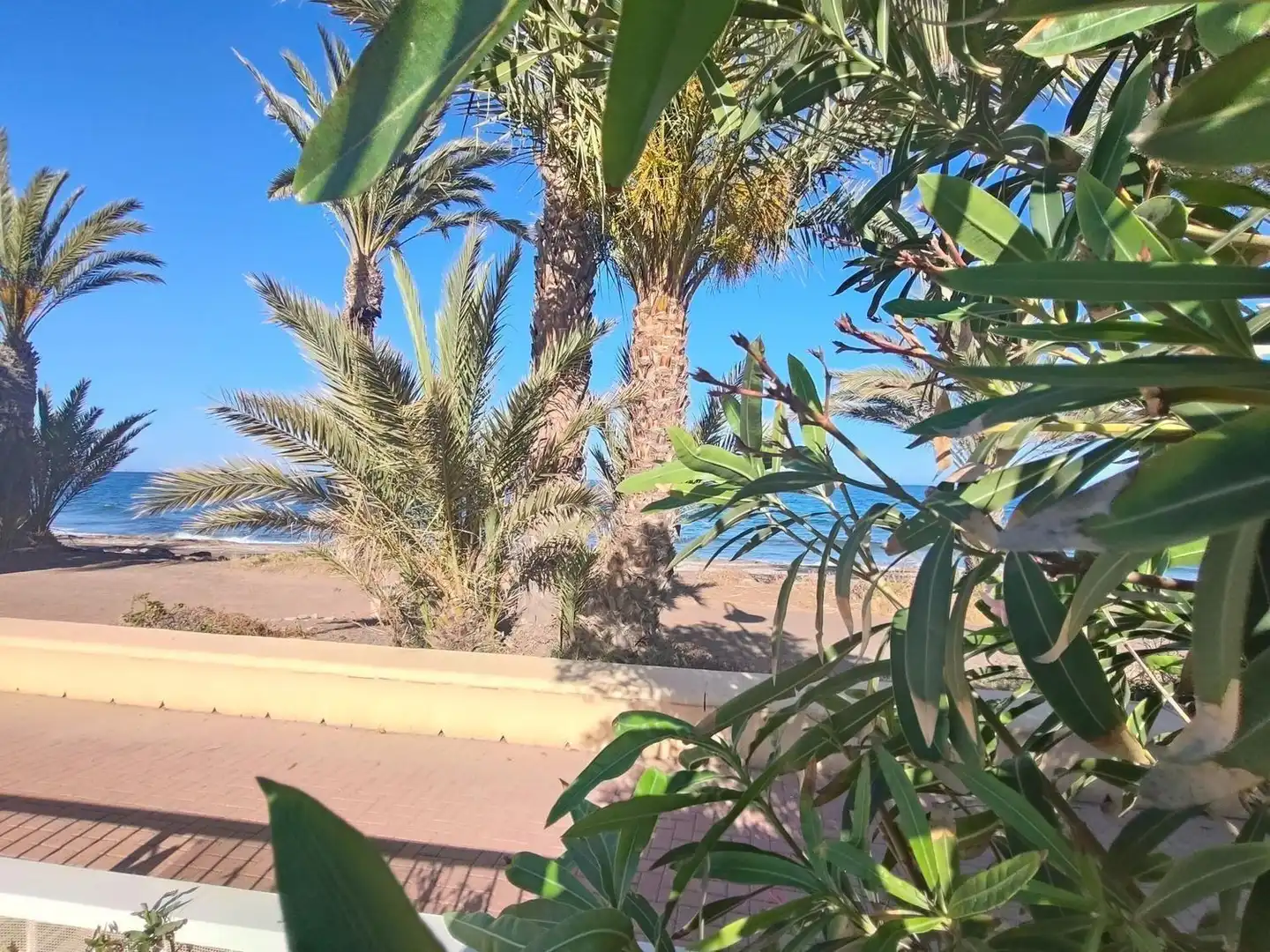 Exterior view of Flat for sale in Cuevas del Almanzora  with Terrace, Swimming Pool and Community pool