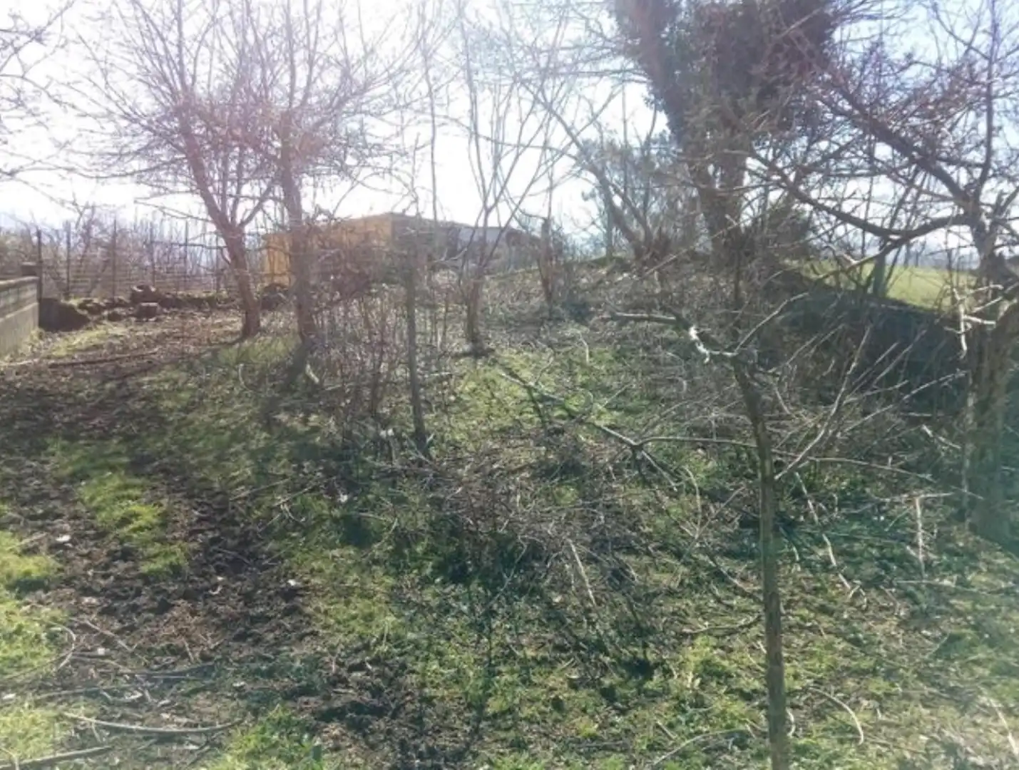 Land for sale in Ciaño - Zona Rural