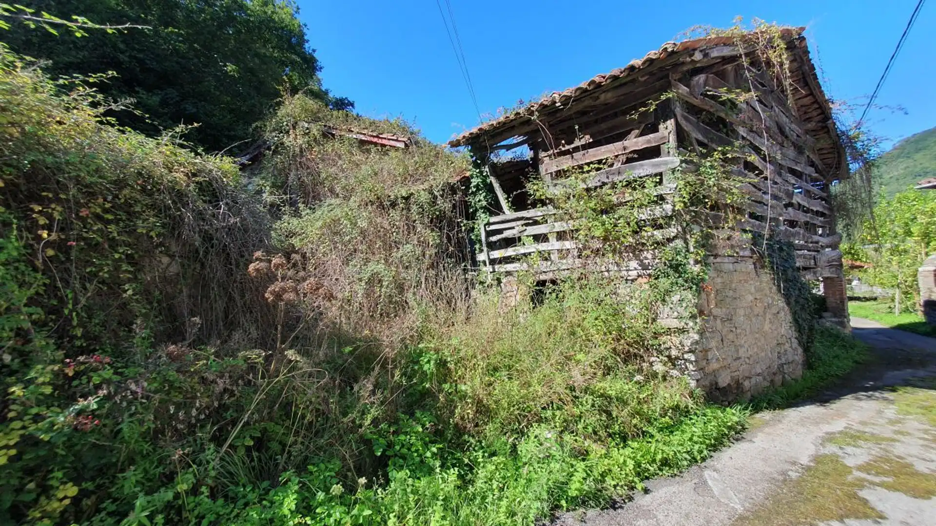 Houses for sale in Belmonte de Miranda