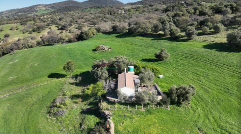 FANTASTICA FINCA EN PRADO DEL REY