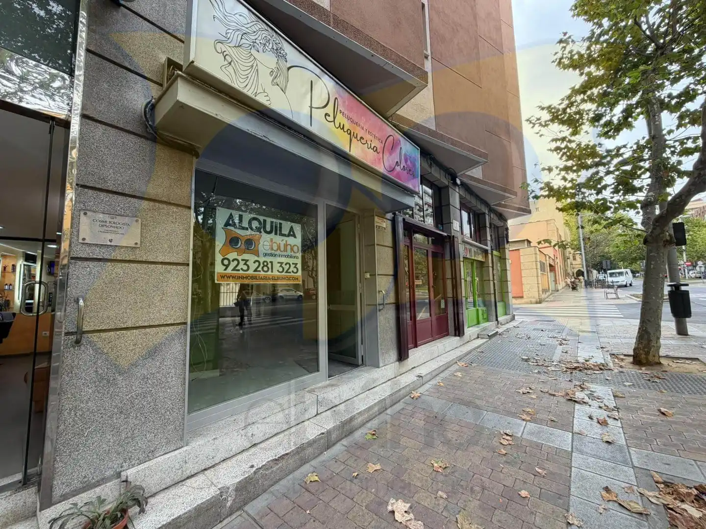 Local comercial de lloguer a Vidal