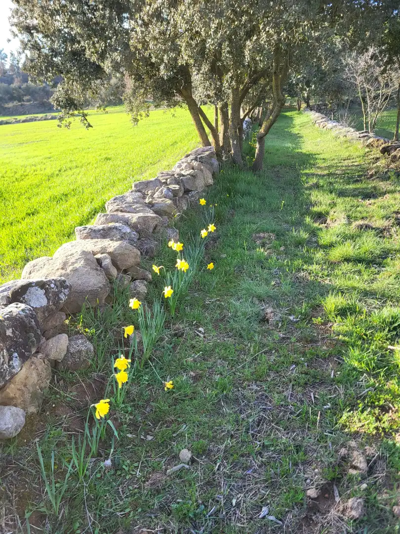 Jardín de Terreno en venta en Pinell de Solsonès