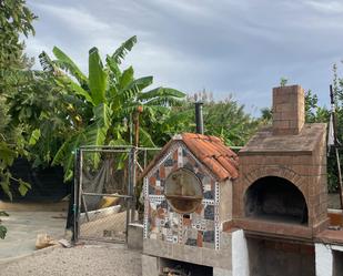 Jardí de Finca rústica de lloguer en  Murcia Capital amb Terrassa