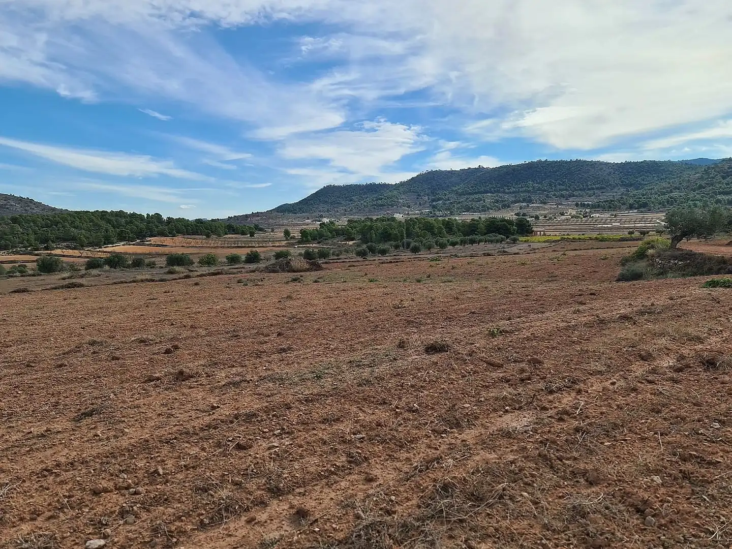 Terreny residencial en venda a El Pinós / Pinoso, imagen 7
