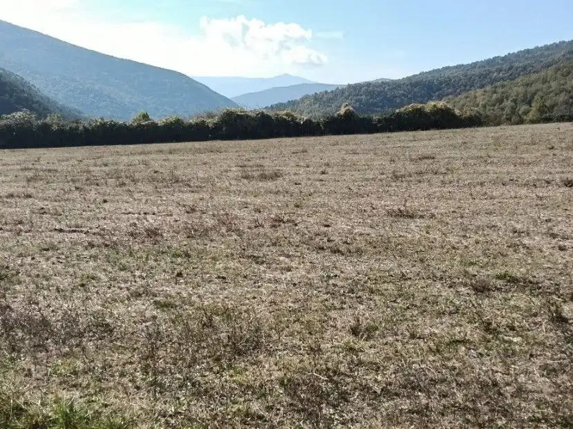 Terreni e lotti in vendita a calle alta, imagen 21