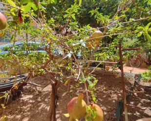 Jardí de Planta baixa en venda en San Pedro del Pinatar amb Aire condicionat, Jardí privat i Terrassa