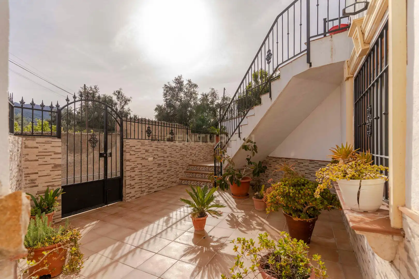 Jardí de Casa o xalet en venda en El Valle