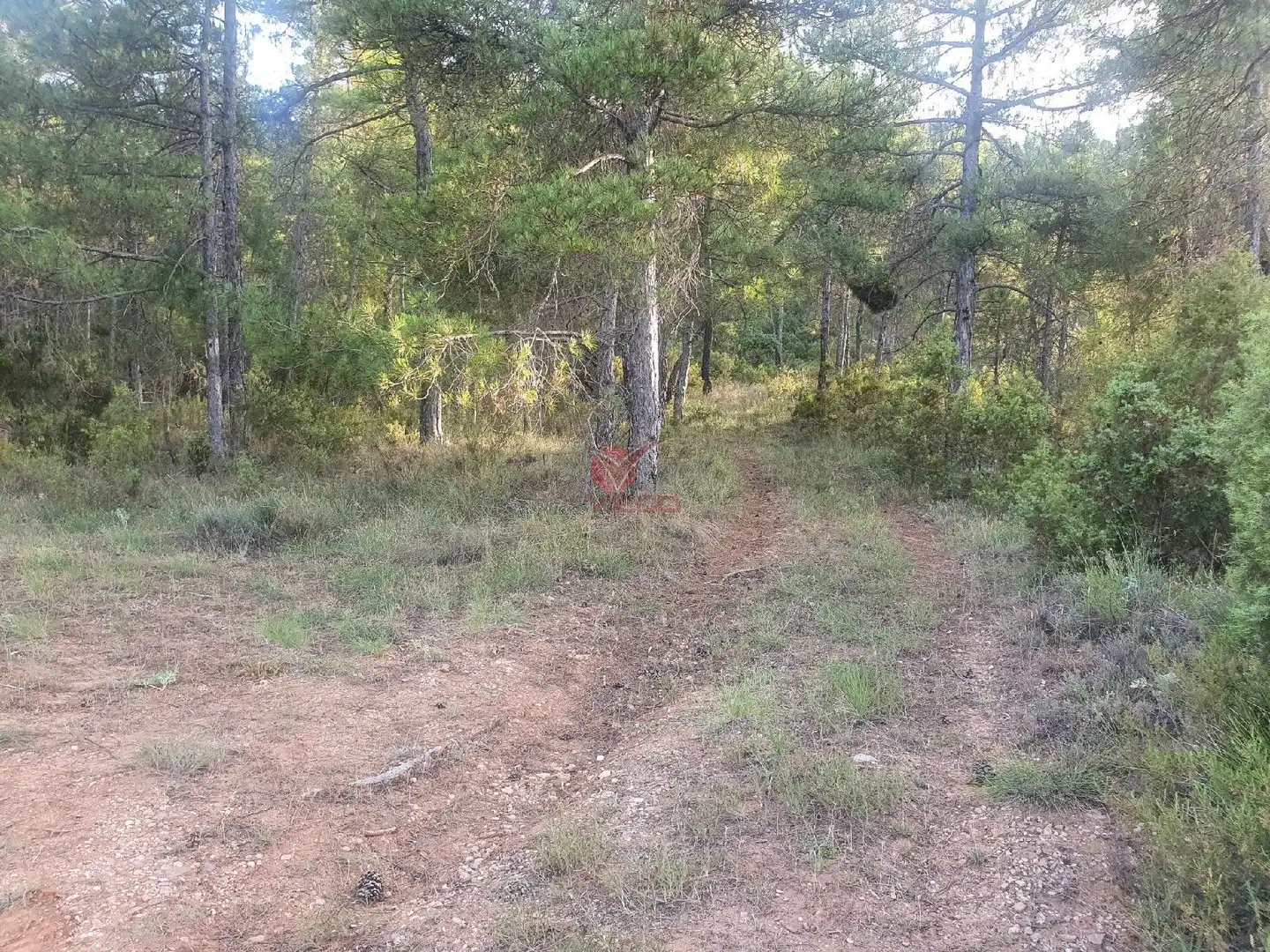Terreni e lotti in vendita a JABAGA, CTRA. MADRID,, imagen 15