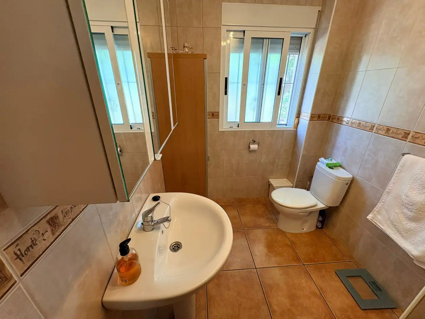 Houses for sale in Cañadas de San Pedro
