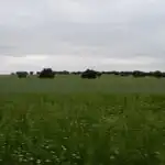 Rural land for sale in Topas, imagen 19