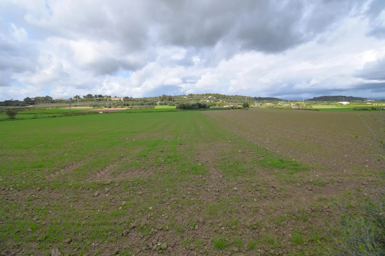 Residential land for sale in Muro, imagen 15