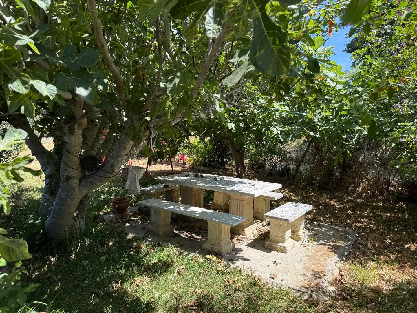 Chalet con piscina en venta en PAGO HOZANEJOS, imagen 4