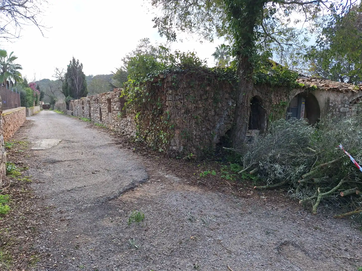 Terreny rústic en venda a Artà Poble, imagen 13