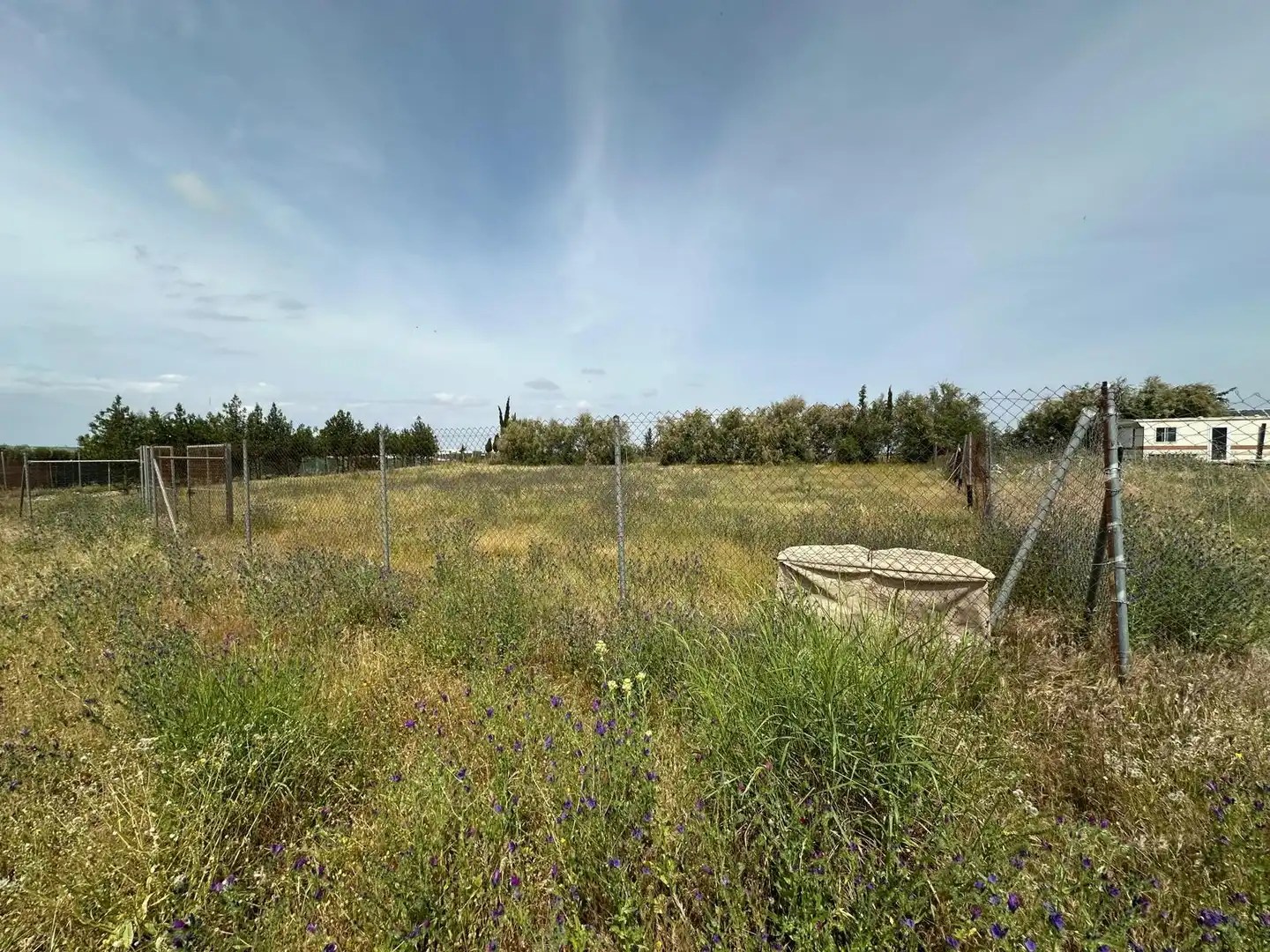 Land for sale in Utrera
