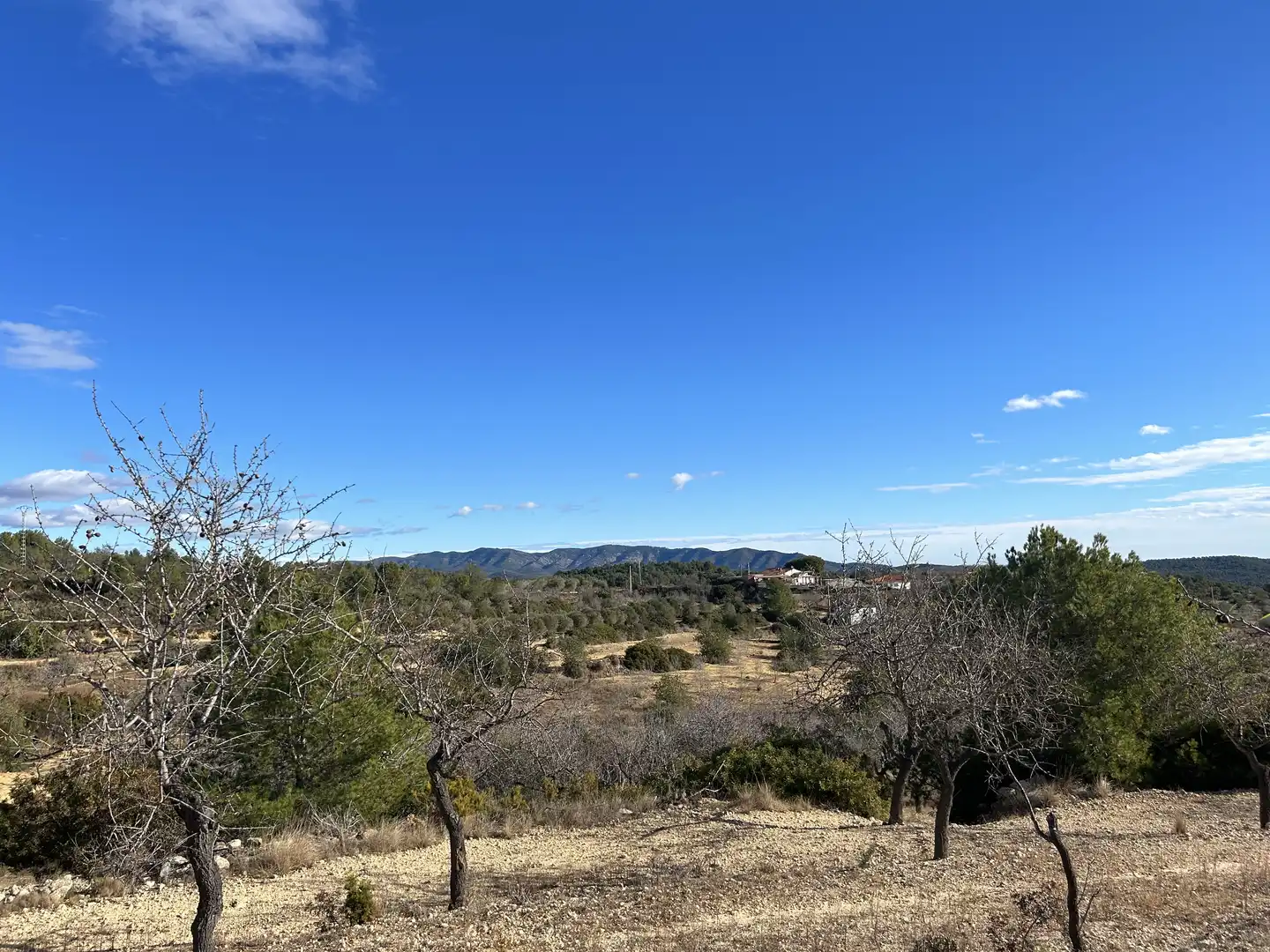 Rural land for sale in Les Coves de Vinromà, imagen 5