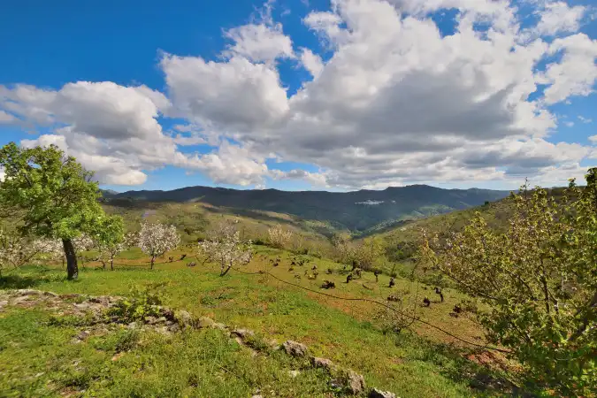 Country house zum Verkauf in Ronda mit Privatgarten