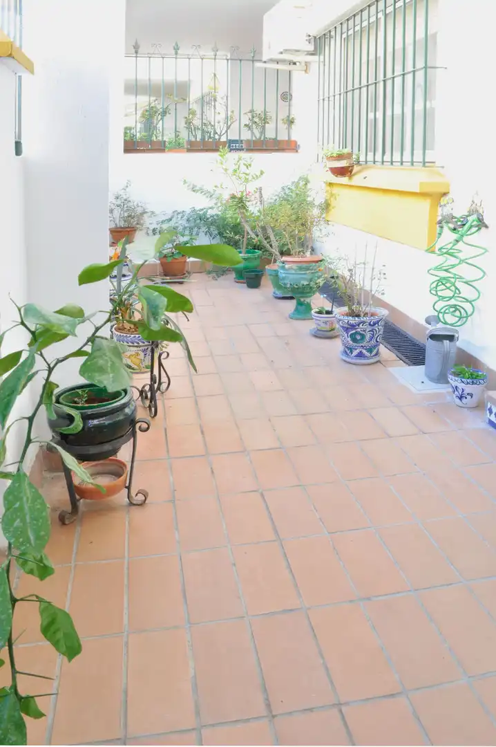 Terrace of Detached homes for sale in Jerez de la Frontera  with Air Conditioner, Terrace and Storage room