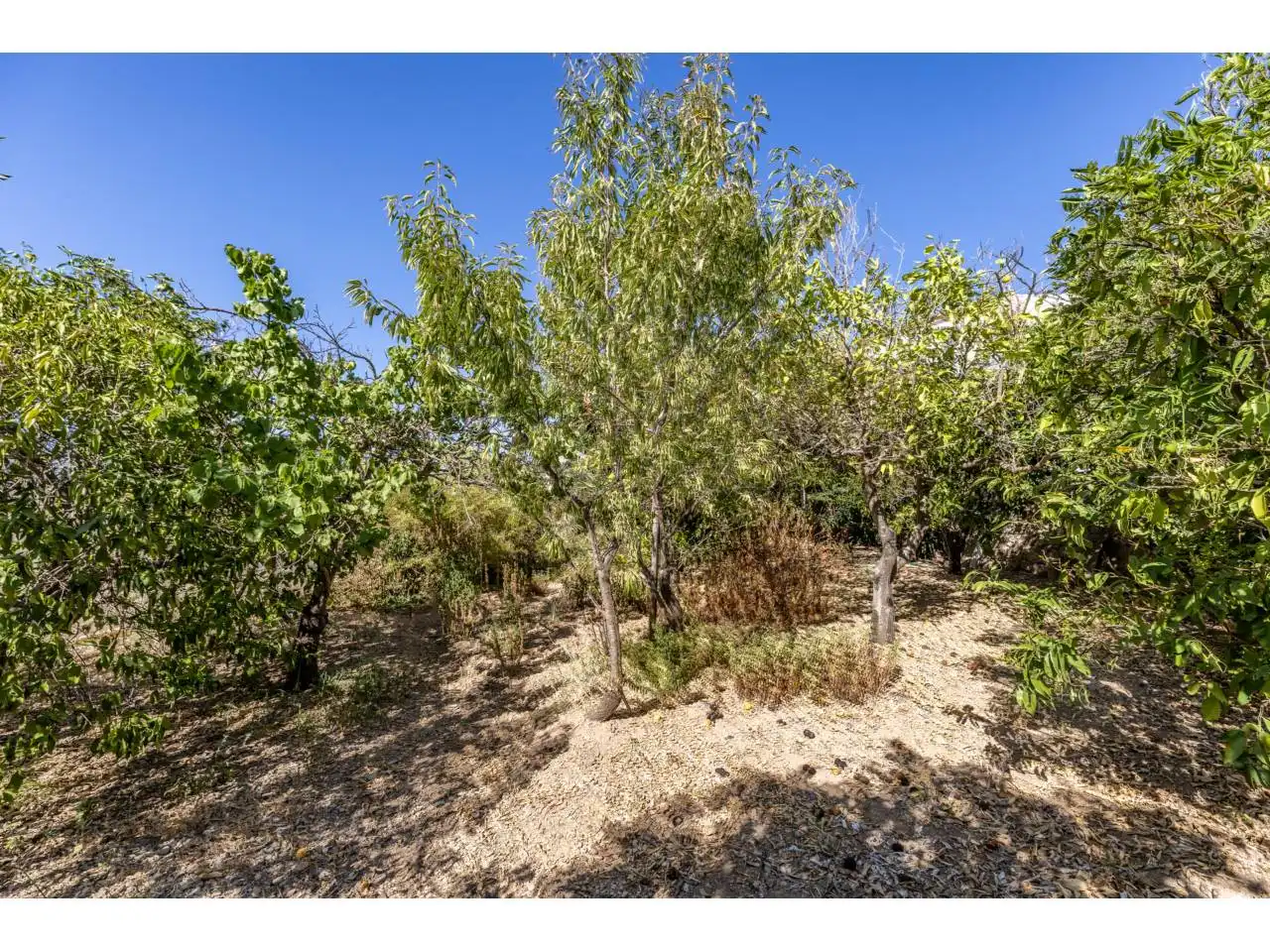 House with garden for sale in Campanet, imagen 21