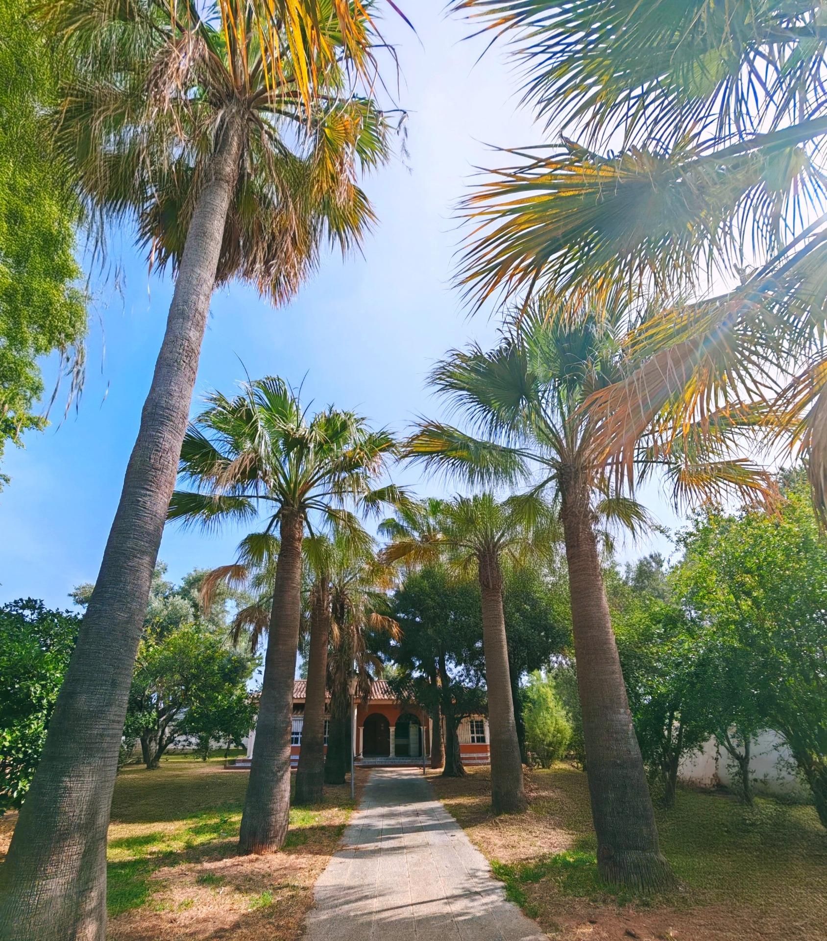 Exterior view of House or chalet for sale in Chiclana de la Frontera  with Air Conditioner, Storage room and Swimming Pool