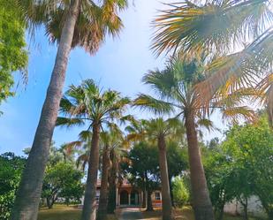 Exterior view of House or chalet for sale in Chiclana de la Frontera  with Air Conditioner, Storage room and Swimming Pool