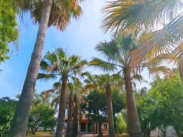 Chalet con piscina en venta en Los Franceses – La Vega