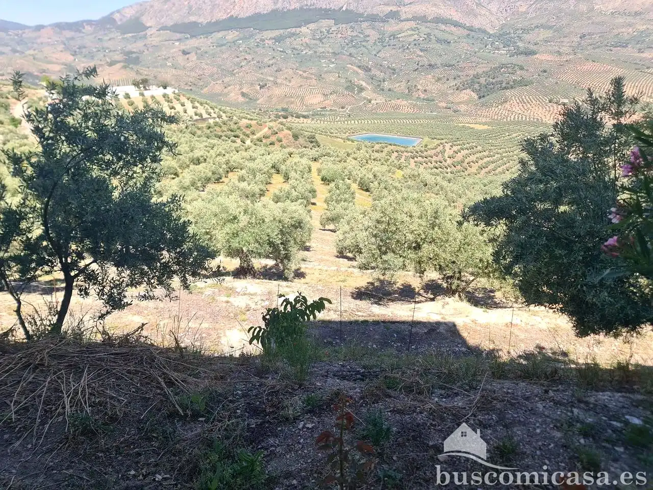 Casa o xalet en venda en Huelma amb Aire condicionat, Calefacció i Jardí privat