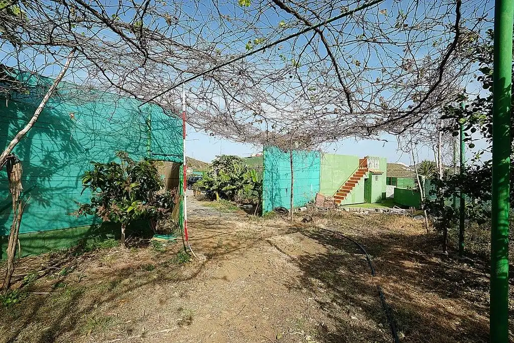 Finca rústica en venta en Camino DEHESA, 10, Santa María de Guía de Gran Canaria