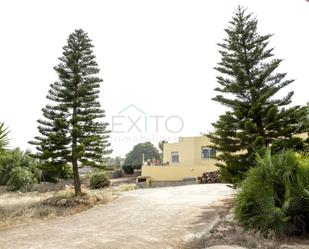 Exterior view of House or chalet for sale in Alfarp