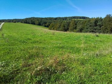 Rural land for sale in Calle San Pedro 24