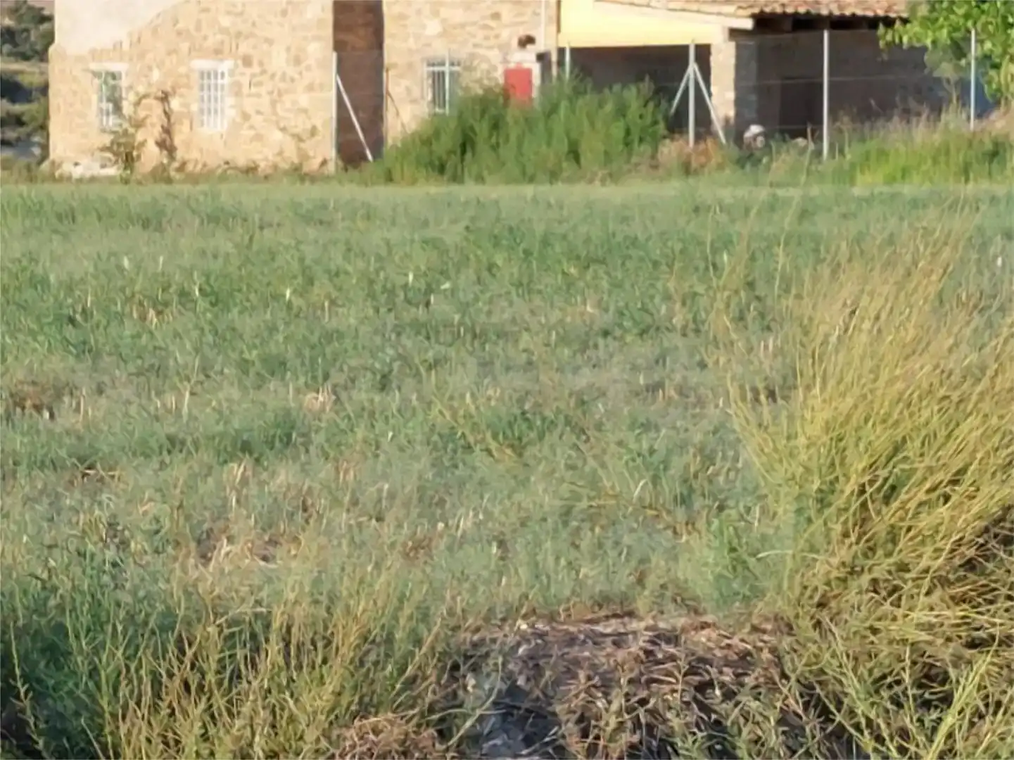 Finca rústica en venda en Cubells amb Jardí privat
