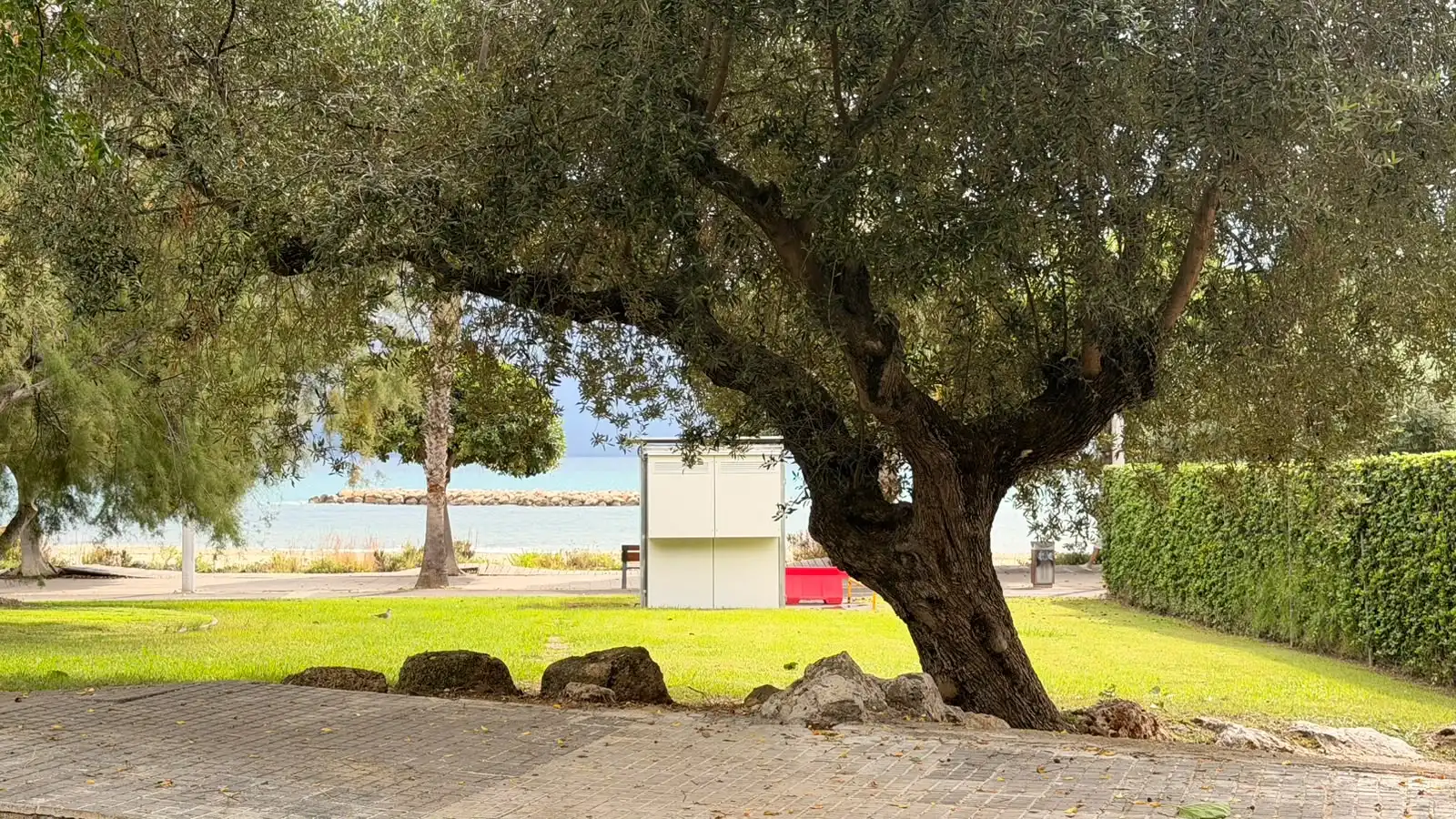 Casa con giardino in vendita a Ardiaca - La Llosa, imagen 9