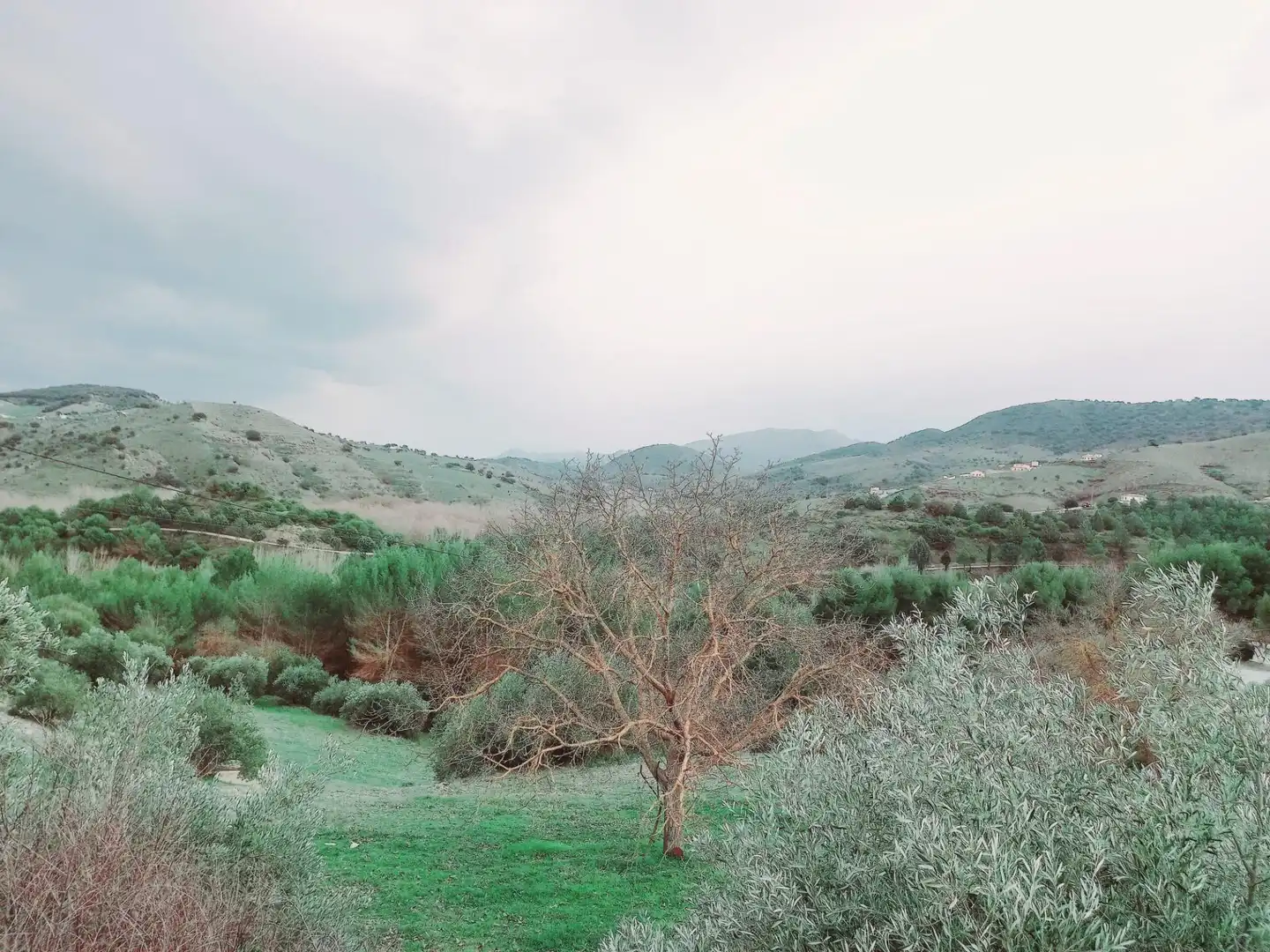 Terreni e lotti in vendita a Alhama de Granada, imagen 6