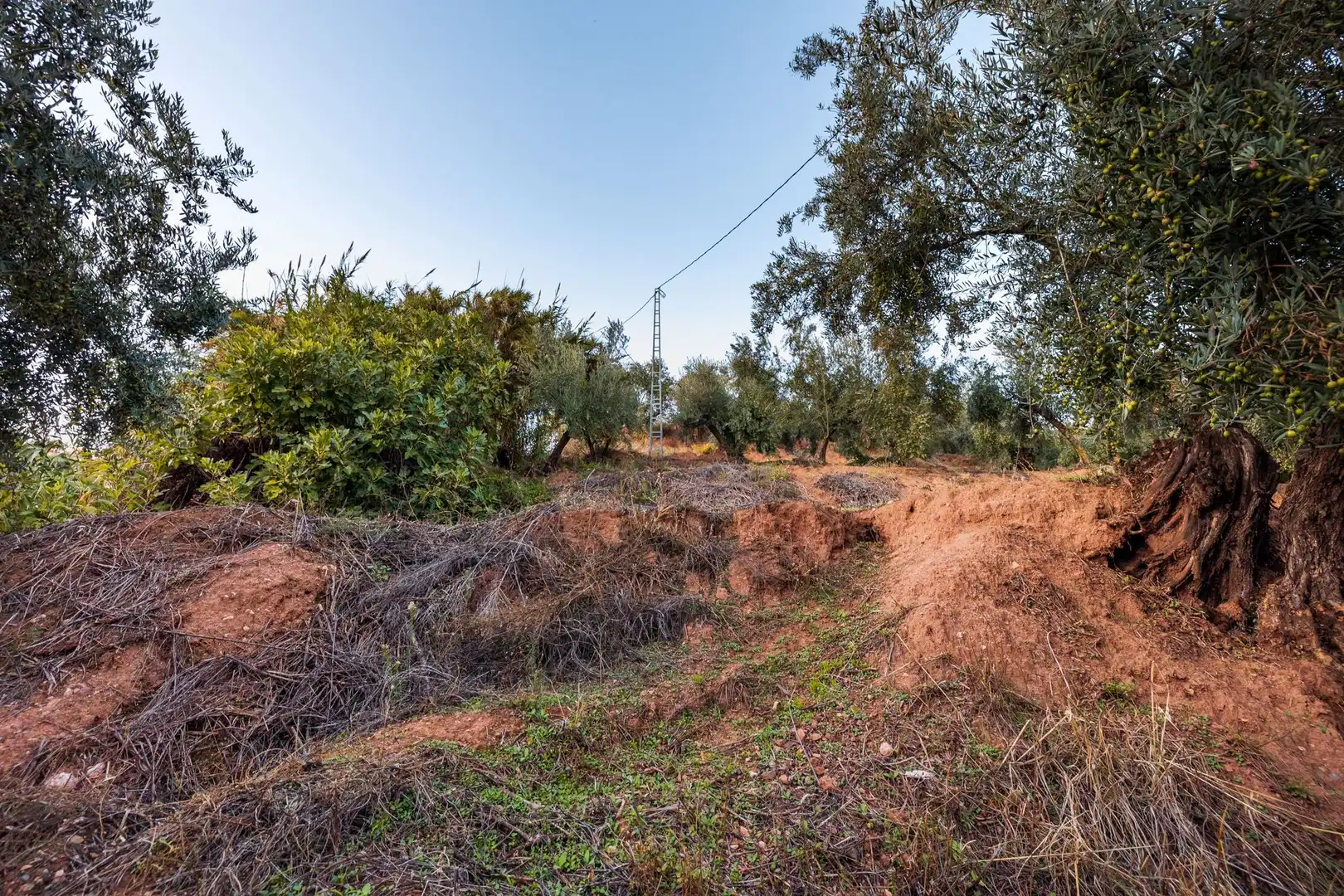 Casa o xalet en venda en Cogollos de la Vega