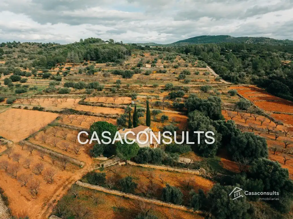 Casa rustica con terrazza in vendita a Vilanova d'Alcolea, imagen 4