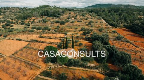 Foto 4 de Finca rústica en venda a Vilanova d'Alcolea, Castellón