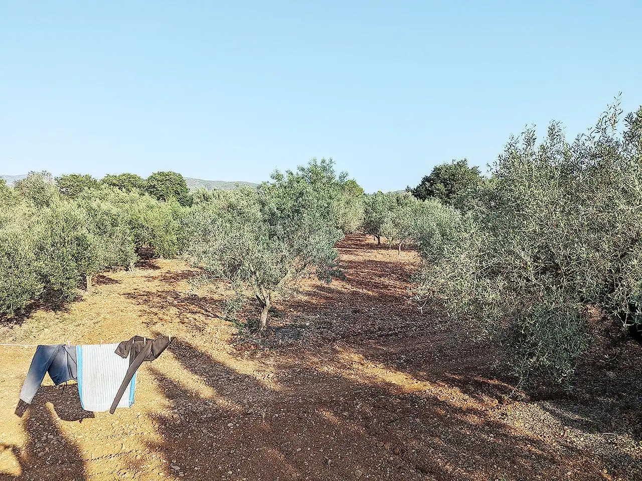 Country house with pool for sale in Mas de la Rata, imagen 15