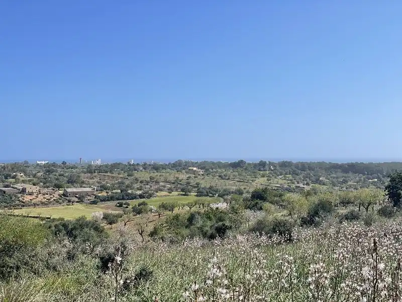 Terreno residencial en venta en Cala Murada, imagen 2