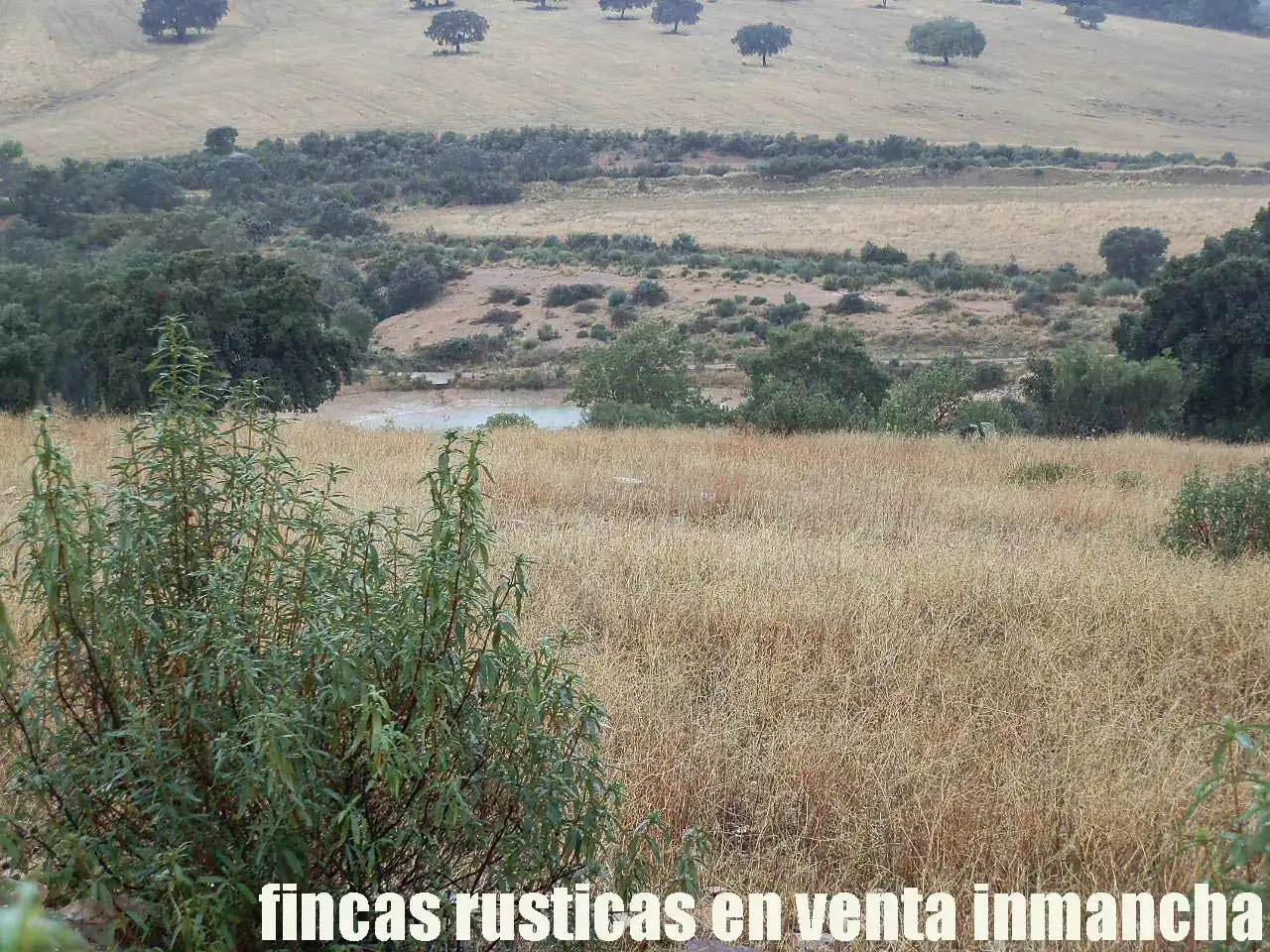 Land for sale in Abenójar