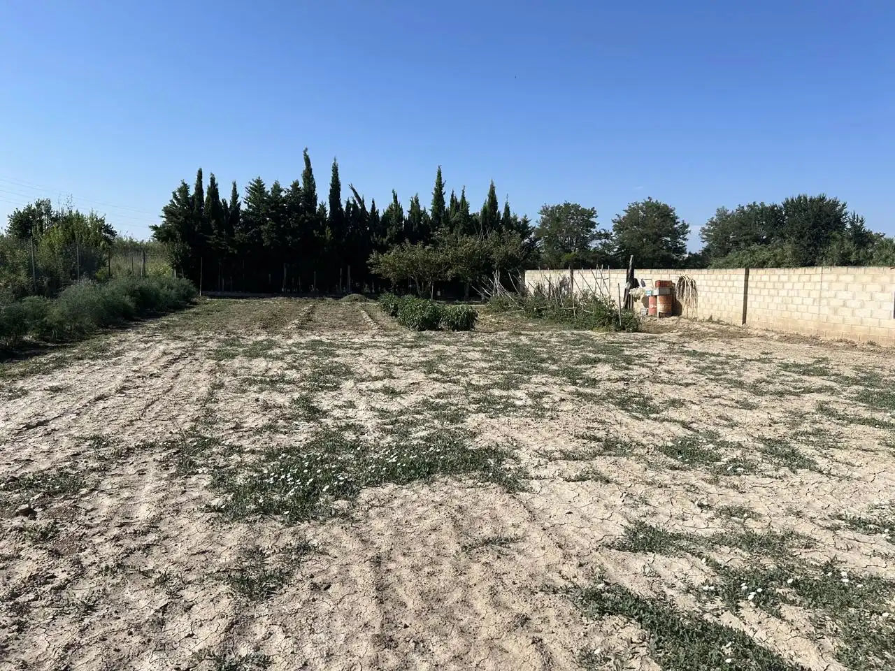 Finca rústica en venta en Galoche, Azucarera