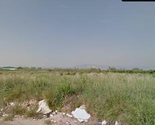 Land for sale in Alcàntera de Xúquer