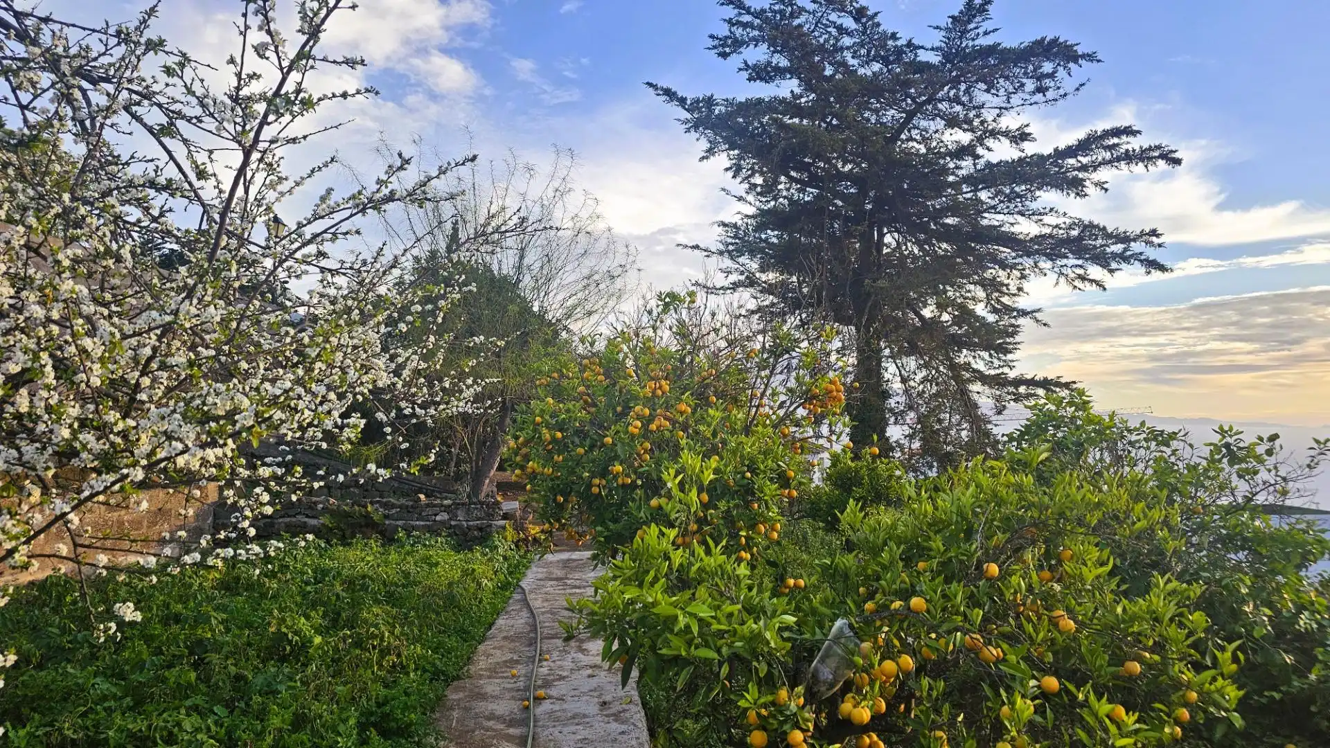 Garden of Houses for sale in La Matanza de Acentejo  with Heating, Private garden and Terrace