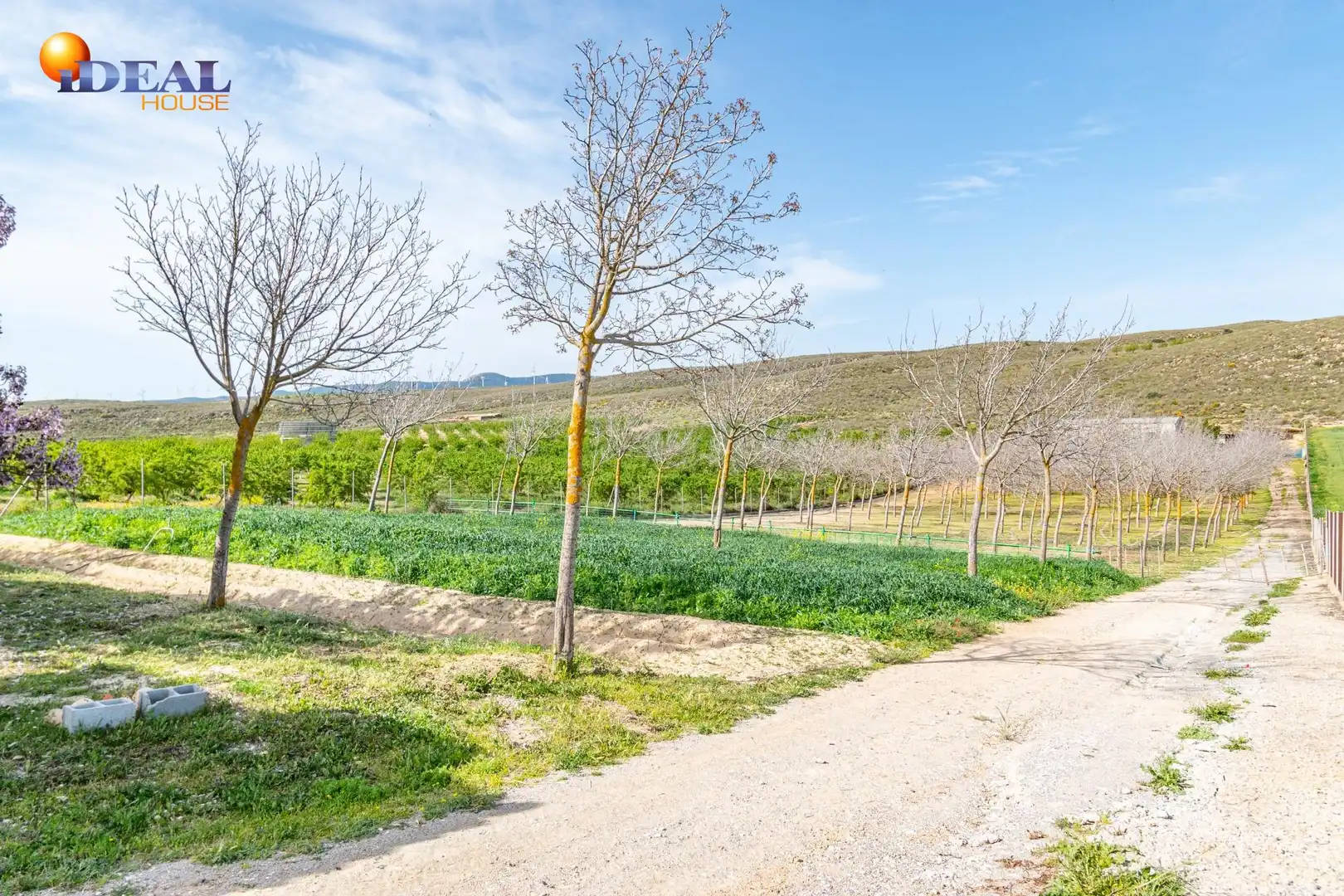 Terreni e lotti in vendita a Padul, imagen 48