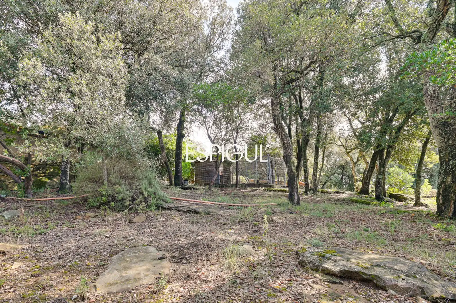 Casa o xalet en venda en Canet d'Adri amb Aire condicionat, Calefacció i Terrassa