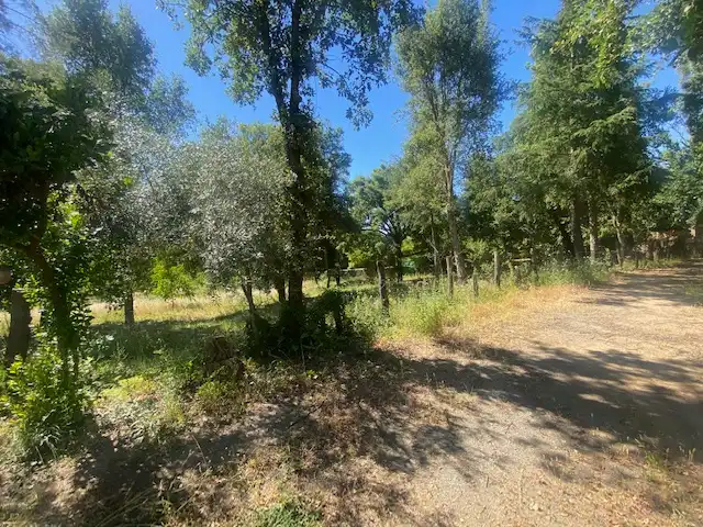 Terreni e lotti in vendita a Castaño del Robledo, imagen 10