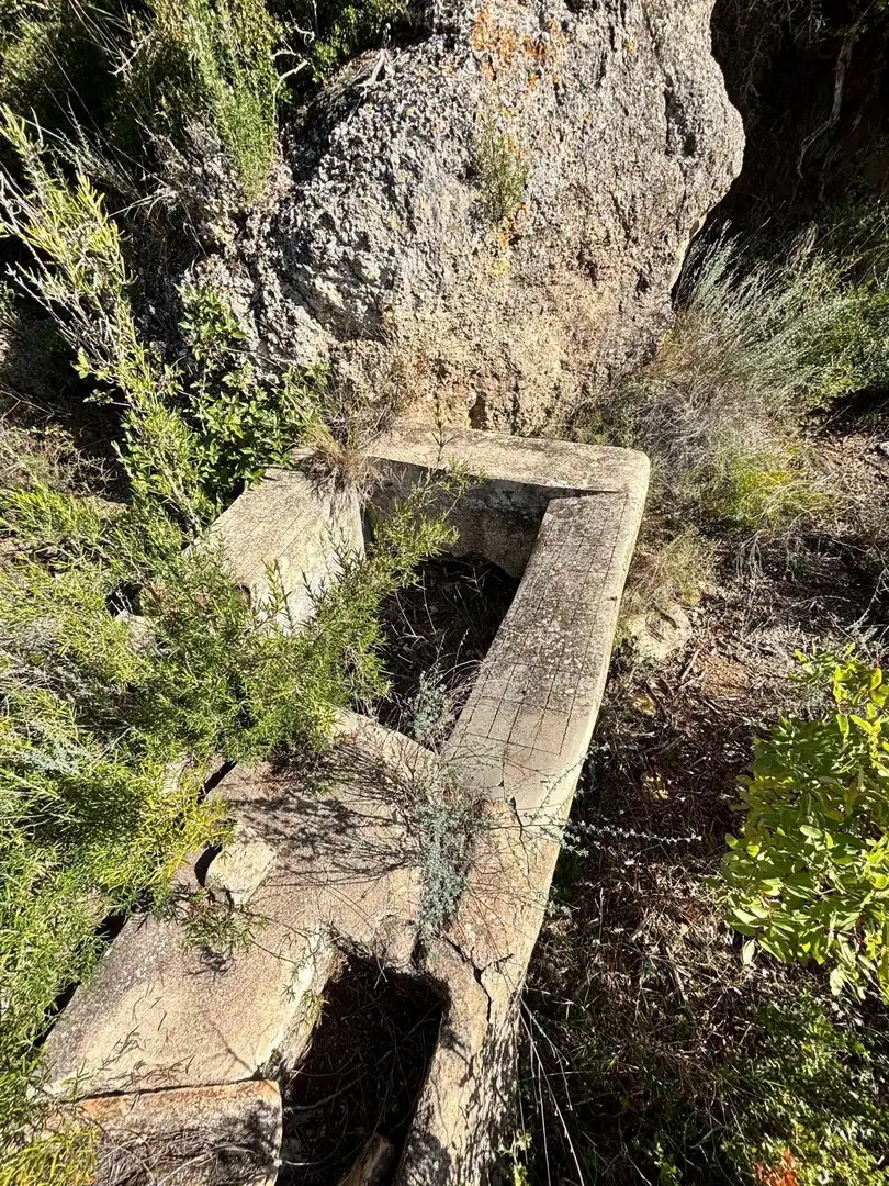 Exterior view of Land for sale in La Palma d'Ebre