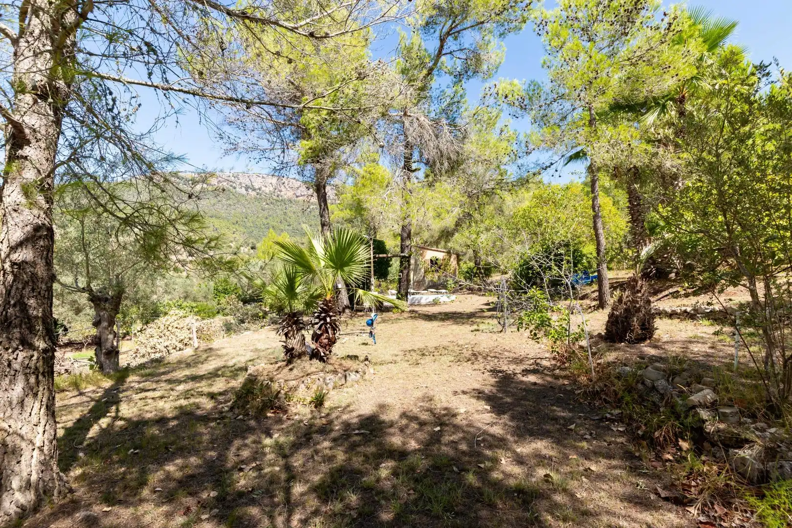 Landhaus mit Pool zum Verkauf in Esporles, imagen 21