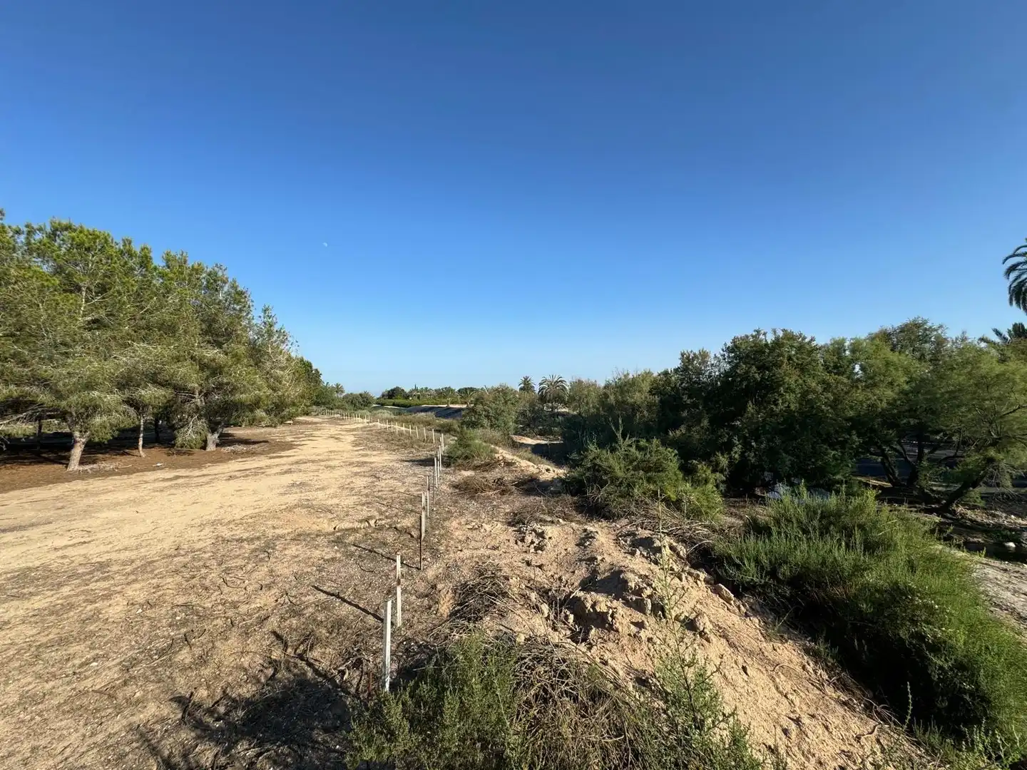 Villa à vendre à Partida Polígono 62 Parcela 80 DAIMES. ELCHE/ELX (ALICANT 62, imagen 30