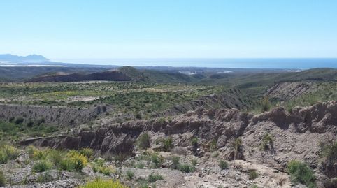 Suelo rústico en La Cañada, imatge 5